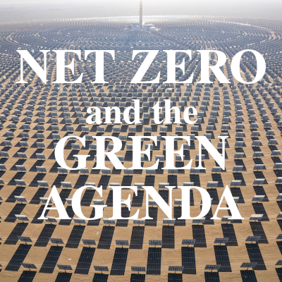 Image of Net Zero and the Green Agenda