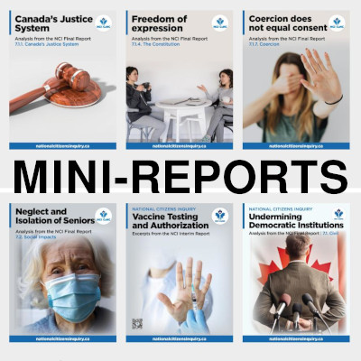 Image of NCI Mini-Reports